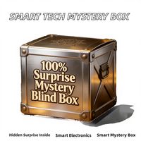 Premium Advanced Digital Mystery Box 100% Surprises Cost-effective Random 5pcs Electronics Products TWS Earphone & Headset Blind