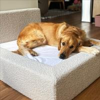 Großhandel Luxus Custom Großes Hunde bett Neues Design Wasserdicht Abnehmbare Ortho pä dische Matratze Couch Memory Foam Boucle Wolle Reptilien