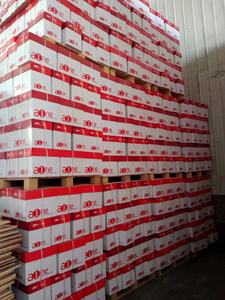 <span class=keywords><strong>Papel</strong></span> de Copia <span class=keywords><strong>A4</strong></span> Paperline, <span class=keywords><strong>80gr</strong></span>, 100% Pulpa de Madera Virgen en Palet para Impresoras Láser e Impresoras de Inyección de Tinta - Product Image 1