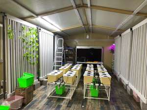 Culture hydroponique hollandaise de haute qualité de tomates, poivrons et concombres - Product Image 5