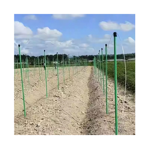 Strong and Durable Passion Fruit <b>Garden</b> Fiberglass Support <b>Pole</b> - Product Image 1