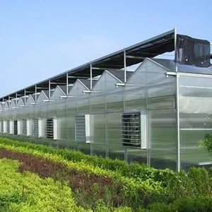 Металлические алюминиевые дома продают небольшие Недорогие каркасные поликарбонатные коммерческие садовые теплицы