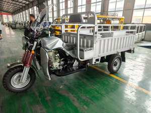 Motocicleta de Tres Ruedas a Gasolina con Función de Autodescarga, Abierta, para Adultos, Precio de Fábrica - Product Image 3