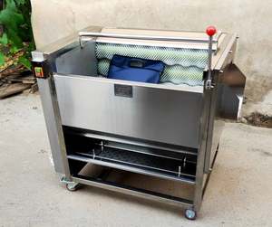 Máquina Industrial de Alta Eficiencia para Lavar, Pelar y Limpiar Frutas y Verduras como Arándanos, Taro, Zanahorias, Cebollas, Jengibre y Patatas - Product Image 4