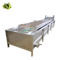 Fruit- en groentewasmachine met bubbelreiniging, ultrasone en bubbelreinigingsmachine