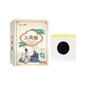Оптовая Продажа с фабрики, Сан-Фу патч, китайская иглоукалывание, рассеивание сырости, холодный патч для использования в китайской медицине - Product Image 1