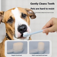 Kit de nettoyage des dents pour animaux de compagnie avec brosse à dents en plastique Dentifrice pour chien et chat-pour mordre et toiletter