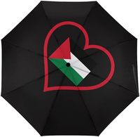 Australie Haïti Parapluie néerlandais Parapluie pliant suspendu en nylon pour automobile Parapluie en plastique durable Drapeau imprimé numérique