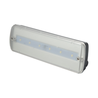 Lampu Darurat LED IP65 Uji Mandiri Cadangan 3 Jam 6000K Putih Dingin Keselamatan Industri