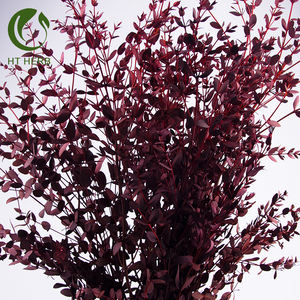 Séchées d'<span class=keywords><strong>eucalyptus</strong></span> conservées feuilles branches d'<span class=keywords><strong>eucalyptus</strong></span> tige fleurs décoratives <span class=keywords><strong>guirlande</strong></span> plantes - Product Image 4
