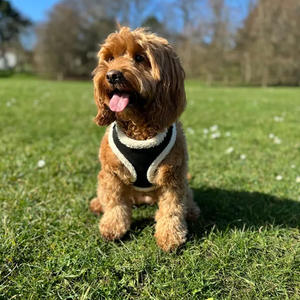 シェルパウィンターソフトフェイクスエードドッグベストカスタムデニムテディベア調節可能ハーネスクイックリリースバックル快適ファッションスカーフ - Product Image 2