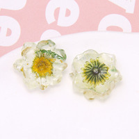 Summer Small Fresh Dried Flowers Small Daisies Resin Accessories Diy Earrings Headdress Female Phone case Materials Wholesale