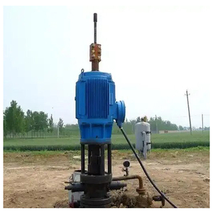Unidad de Accionamiento Hidráulico de Velocidad Ajustable para Trabajo Pesado en Campos Petroleros, Bomba de Tornillo Vertical de Baja RPM para Superficie, Accionamiento Vertical en Suelo - Product Image 2