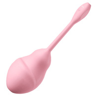 Vibrateur œufs gonflables USB extra-larges télécommandés pour femmes, produits sexuels, jouets sexuels pour femmes, plug anal