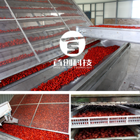 Nieuwe 10 Ton Capaciteit Droog Fruit Gaas Banddroger Dadelpalm Khajoor Kruidendroogmachine Groentedroogapparatuur