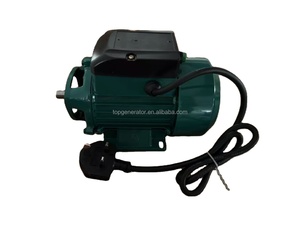 เครื่องขูดมะพร้าว/เครื่องขูดเนื้อมะพร้าว 200 วัตต์ ยี่ห้อ Bigene - Product Image 3