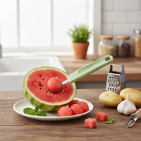 Conteneur écologique en plastique pour fruits et légumes, ligne Ecoecolution, accessoire de cuisine pour éplucheur de pommes de terre, râpe à ail en bois