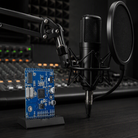 Module de microphone professionnel RAYSOUNDS 3.0 pour effets sonores de scène, amplificateur de puissance trois-en-un stable