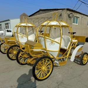 Carrozza Elettrica per Matrimoni, Romantica Carrozza a Forma di Zucca, Carrozza a Cavallo - Product Image 2