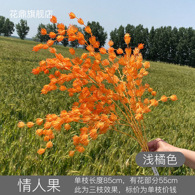 ผลไม้คู่รัก สีส้มอ่อน