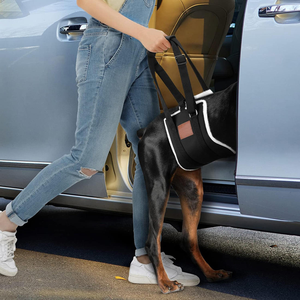 Attelle d'assistance confortable pour la marche avec motif imprimé, manchon de protection pour la patte du chien - Product Image 4