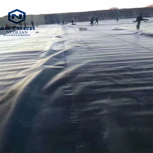 Geomembrana Composta de HDPE de Alta Qualidade 1mm para Lagoas, Estilo de Design Industrial - Product Image 6