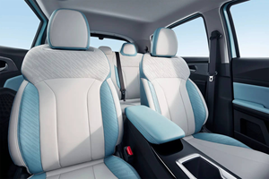 Geely Geometry <span class=keywords><strong>E</strong></span> Firefly EV SUV 301 km <span class=keywords><strong>60</strong></span> <span class=keywords><strong>kW</strong></span> 82 ch 5 places LFP Mini-voiture électrique urbaine familiale Véhicules à énergie nouvelle à l'exportation - Product Image 5