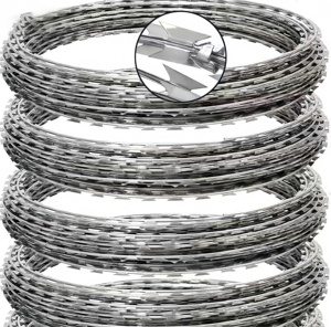 <span class=keywords><strong>Alambre</strong></span> de Púas en Espiral Personalizado con Número y Grado de Acero para Protección de Áreas Públicas, BTO-22, <span class=keywords><strong>Galvanizado</strong></span> en Caliente - Product Image 1
