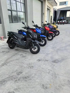 Venta al por Mayor de Fábrica - <span class=keywords><strong>Scooter</strong></span> Eléctrico Todoterreno de 2000W/3000W, Resistente al Agua y con Capacidad de Escalada, Superventas - Product Image 5