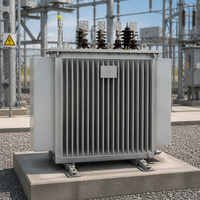 Transformateur triphasé immergé dans l'huile 1000 kVA 11 kV vers 0,4 kV Dyn11 IEC 60076 HANBANG