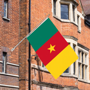 3x5Ft alta calidad Triple/doble capa más tela opaca 100D tela de poliéster Bandera de país Camerún país - Product Image 5