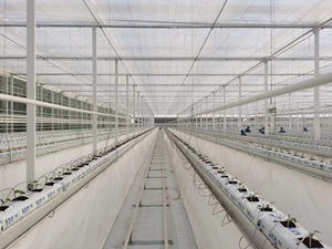 Achat Bâche UV Plastique <span class=keywords><strong>Pour</strong></span> <span class=keywords><strong>Serre</strong></span> Verticale Chaleur Plastique <span class=keywords><strong>200</strong></span> Micron Agriculture Couverture Tissu Philippines - Product Image 4