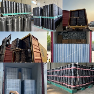 Hot Sale Sbs/app Pe Film Modified Roof <strong>Sheet</strong> Sbs Bituminous <strong>Waterproof</strong> <strong>Material</strong> for Underlayment Building Basement Roof Coil - Product Image 6