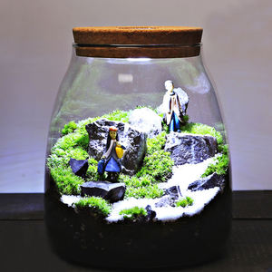 Kit de <span class=keywords><strong>terrarium</strong></span> de bricolage <span class=keywords><strong>Terrarium</strong></span> de mousse à verre pour plantes avec couvercle en liège <span class=keywords><strong>Terrarium</strong></span> de plantes à air - Product Image 4
