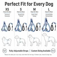 Harnais pour chien en maille douce vert menthe à imprimé dessin animé, anti-étranglement, réglable, type gilet à enfiler, avec laisse assortie