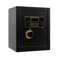Caja de Seguridad Oculta para el Hogar, Oficina u Hotel, Caja Fuerte para Dinero, Efectivo y Joyas con Cerradura Digital Electrónica y Llaves de Emergencia