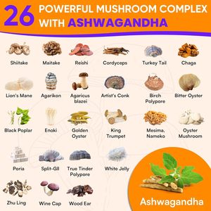 Complément alimentaire nootropique pour stimuler le cerveau, marque privée OEM, gommes à la crinière de lion biologique, complexe de champignons, gommes - Product Image 6