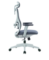 Chaise de bureau pivotante de luxe, ergonomie moderne, cadre gris, chaise de direction en maille, appui-tête réglable 2D, chaise pivotante