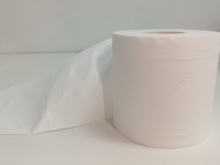 Kertas Toilet Ramah Lingkungan Sekali Pakai Grosir 2/3 Lapis Lembut Merek Ternama Virgin Natural Embossed Roll