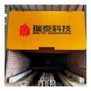 Komplette Ausrüstung für GPH Bangladesh: Twin-Shaft Mixer <span class=keywords><strong>Tunnel</strong></span> Ofen (Made in China) - Product Image 3