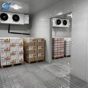 Chambre froide mobile industrielle démontable de petite taille 20FT 40FT - Product Image 2