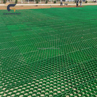 Grille d'herbe de gravier de HDPE de dessus lisse de la taille 48mm utilisée pour le parking de voiture d'allée d'herbe