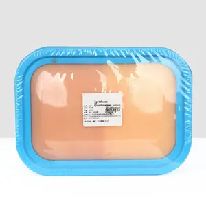 Paquete de Práctica de Acupuntura con Diseño de Doble Resistencia, Modelo de Piel de Simulación para Entrenamiento de Estudiantes de Medicina China - Product Image 2