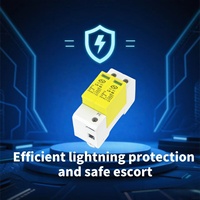 Protection contre les surtensions 2P SPD AC High 385V 30KA 220V Tension nominale 60KA Imax Excellente protection contre la foudre Protection contre les surtensions
