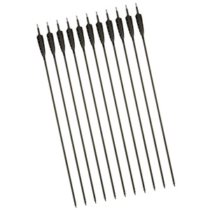 Frecce in Carbonio Puro Effetto <span class=keywords><strong>Legno</strong></span> da 31,5 Pollici <span class=keywords><strong>Spine</strong></span> 350 con Piume di Tacchino e Punte Filettate Sostituibili per Tiro con l'Arco - Product Image 1