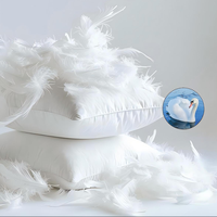 Almohada de Plumas de Ganso y Pato, Personalizada en Todos los Tamaños, con Tela de Algodón para Sofá