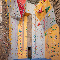Panneaux muraux d'escalade intérieurs et extérieurs commerciaux Mur d'escalade artificiel Jeux muraux d'escalade pour enfants