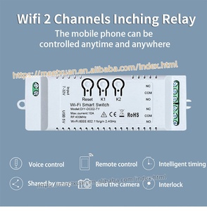Interruptor Inteligente Tuya de 2 Canales Wifi 7-32V para Motor, Módulo de Relé de 2 Canales DC 12V 24V 32V 110V 220V, Control por Voz Alexa - Product Image 2