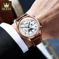 OLEVS 6667 OEM Montre de luxe squelette personnalisée lumineuse de marque supérieure pour hommes, en cuir, mécanique automatique