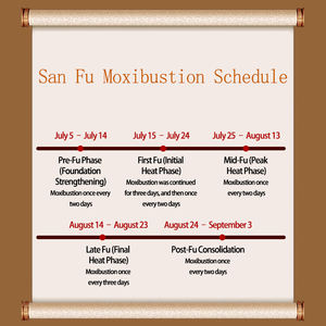 Sanfu Koyo terapi pendetoks Herbal Harga pabrik pereda nyeri penyakit musim dingin dalam perawatan produk Cina - Product Image 4